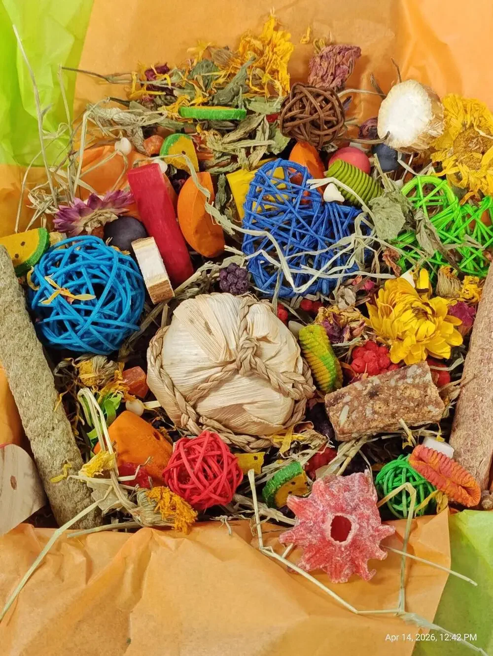 Play & Chew Fun  